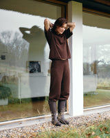 JBS of Denmark Wool Pants - Brown