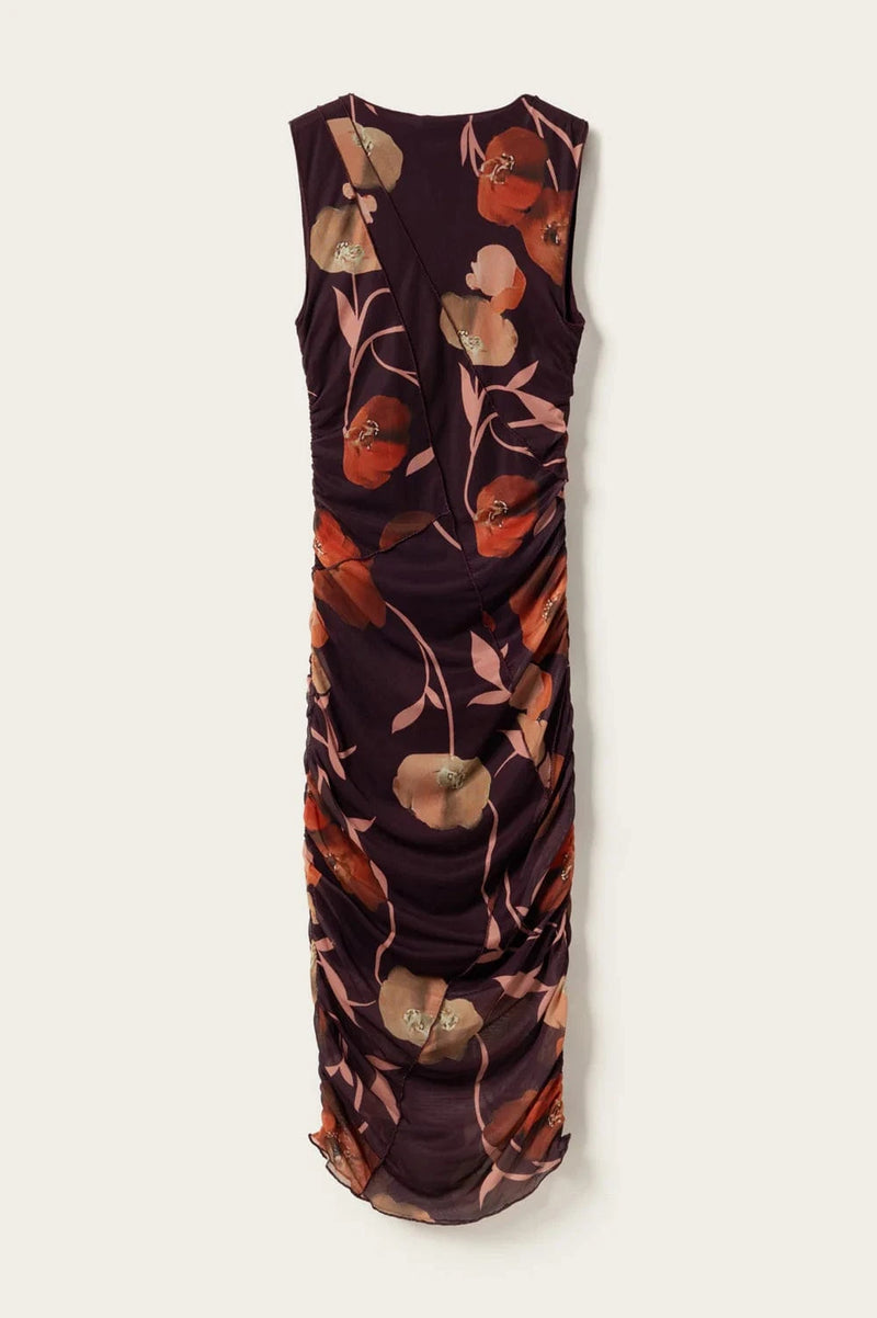 Noella Sutton Dress - Caris Red print