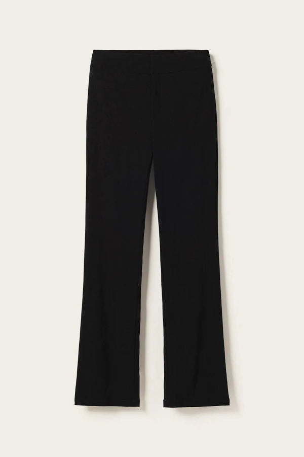 Noella Leneta Pants - Black