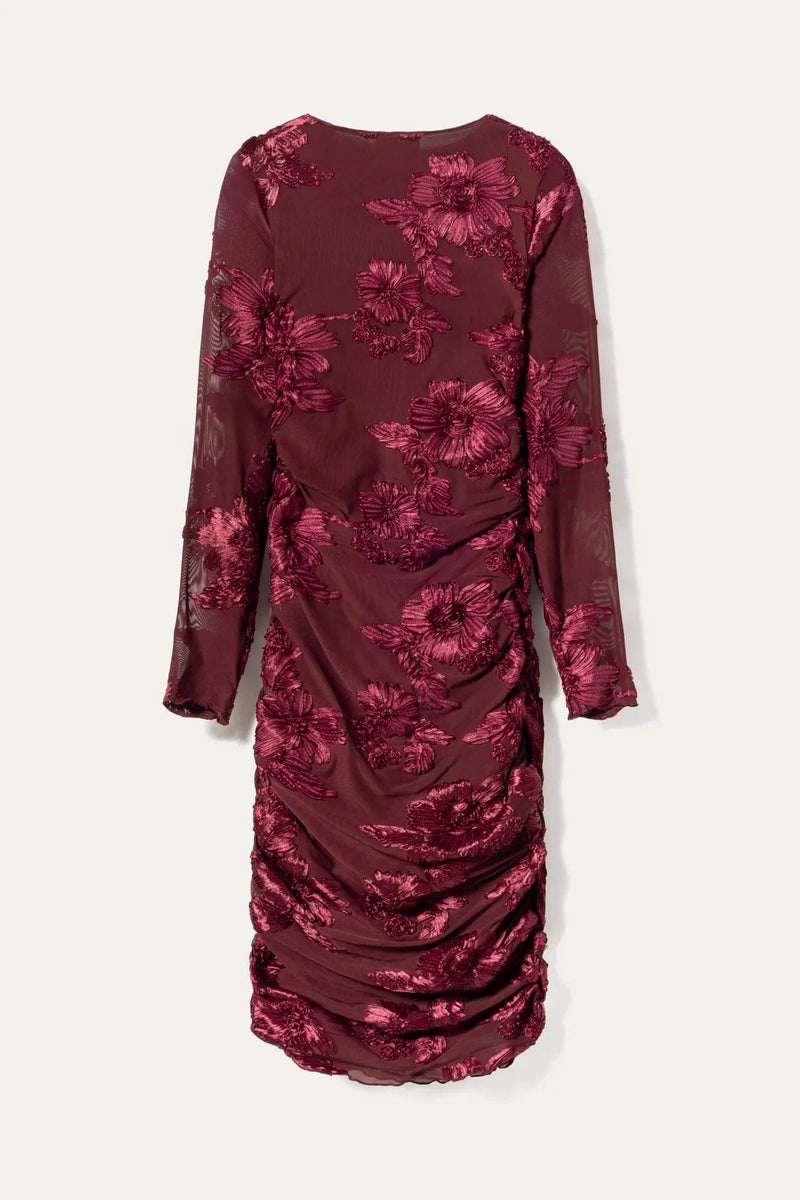 Noella Lavinia L/S Dess - Winetasting