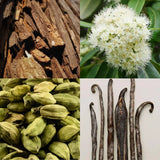 Raaw Alchemy Perfume Oil - Blackened Santal