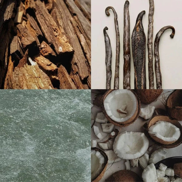 Raaw Alchemy Perfume Oil - Hazy Vanille