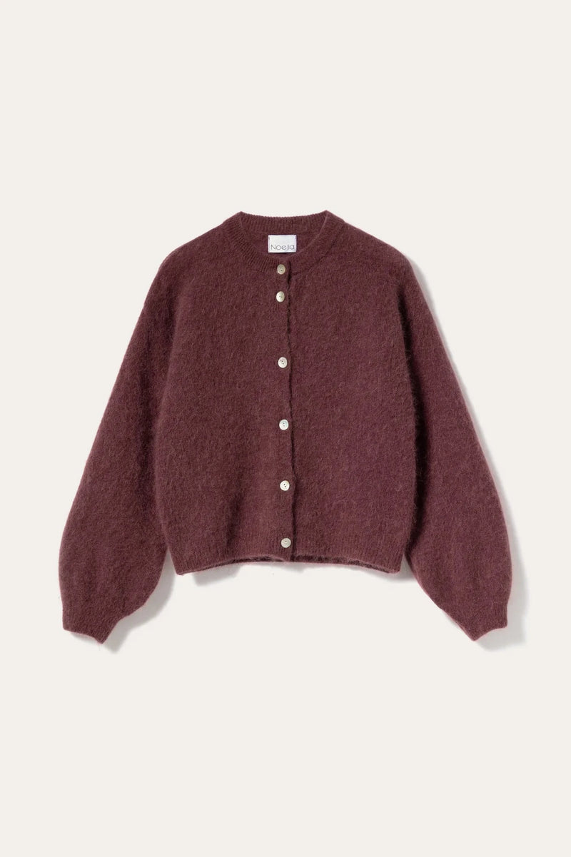 Noella Kea Knit  Cardigan - Rust