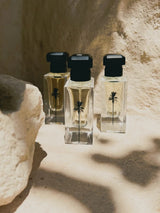 Raaw Alchemy Eau De Parfum - Blackened Santal