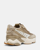 Steve Madden Setback-R - Gold