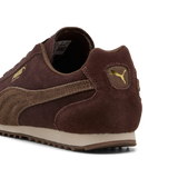 Puma Arizona SD - Chocolate